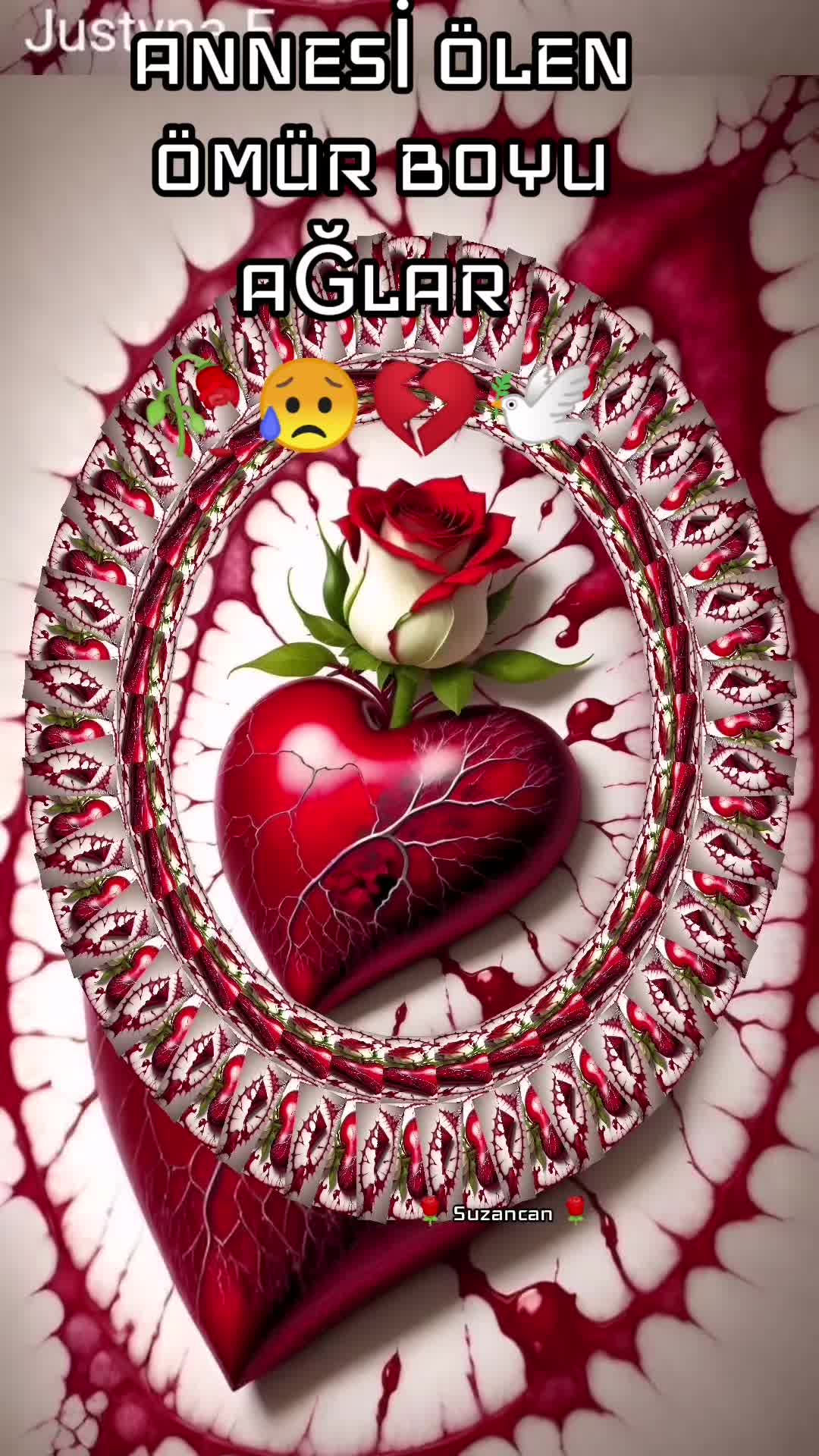 @🌹Suzancan🌹