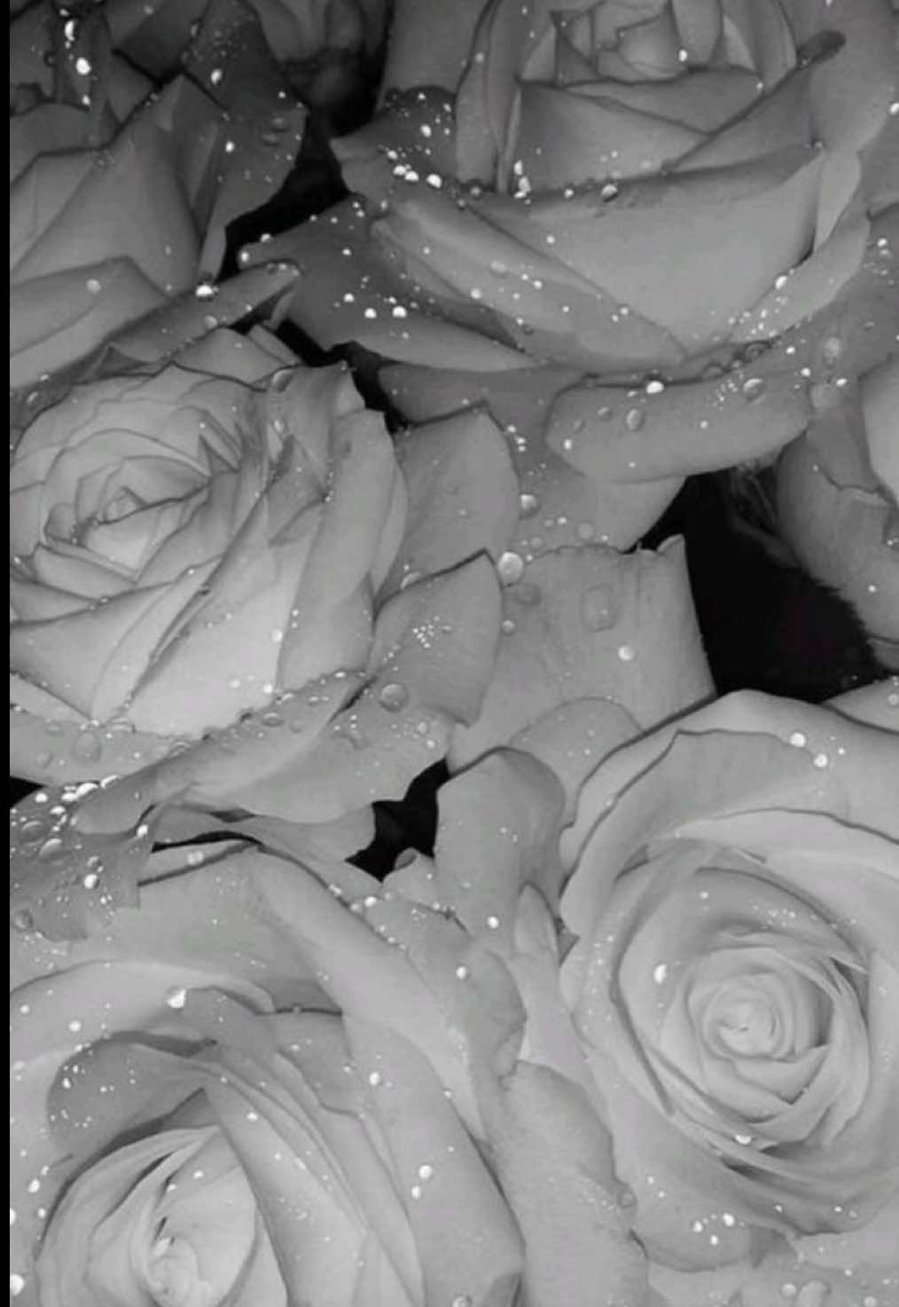 @đŠđđđ¸đđśđđđ¤đˇď¸