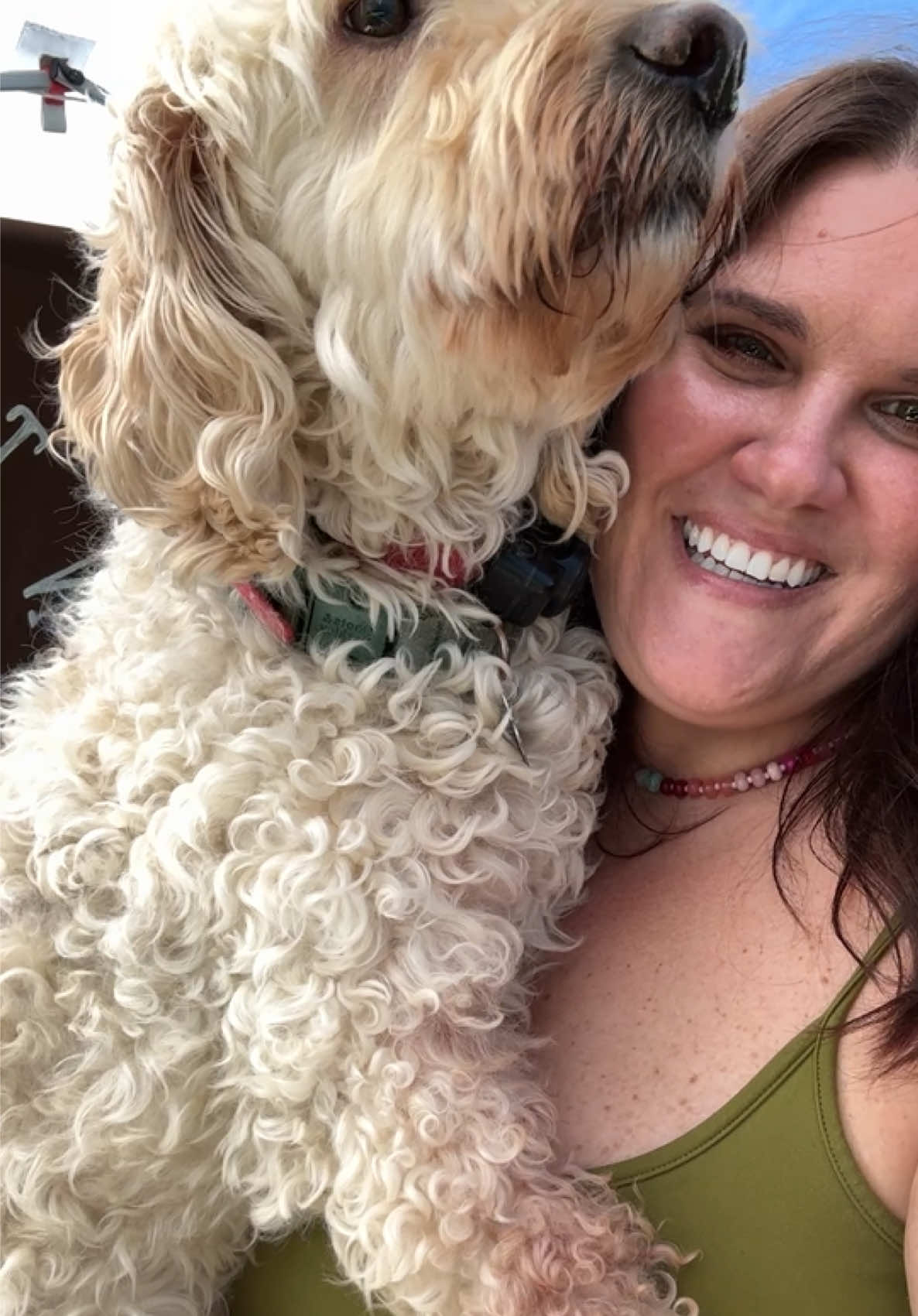 @sara | just a girl & her dog