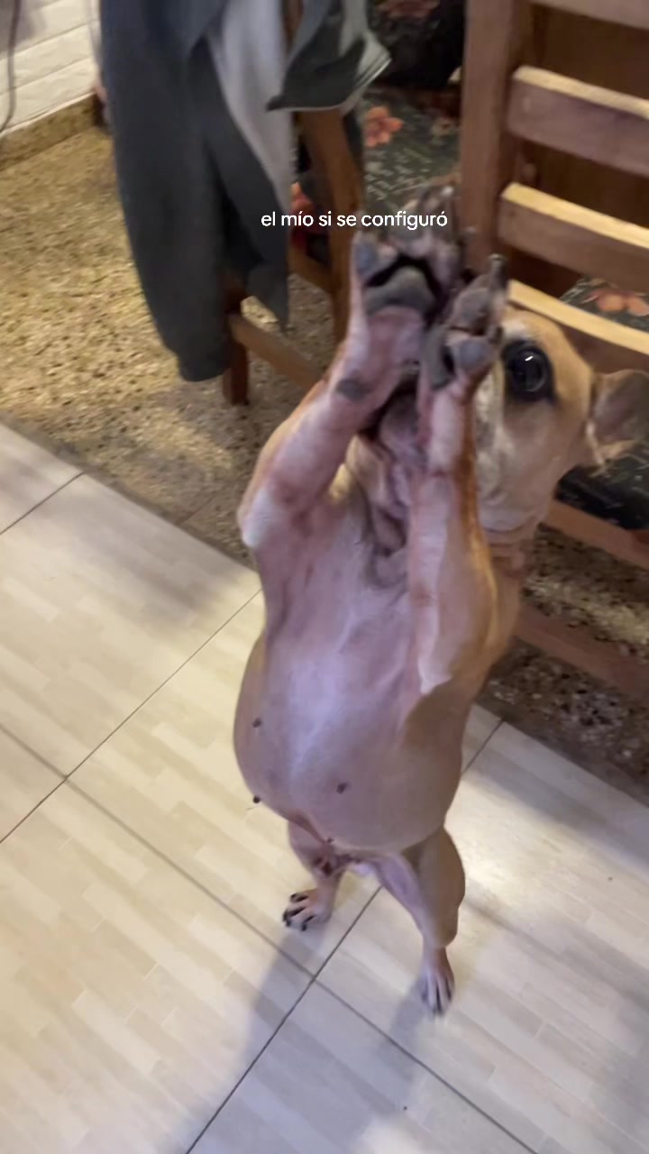 @piluu