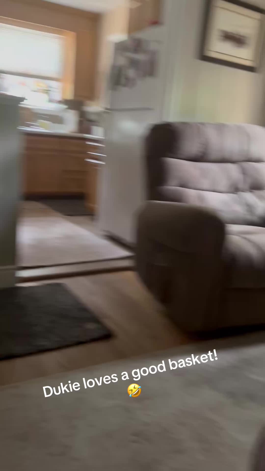 @lifewithduke2025