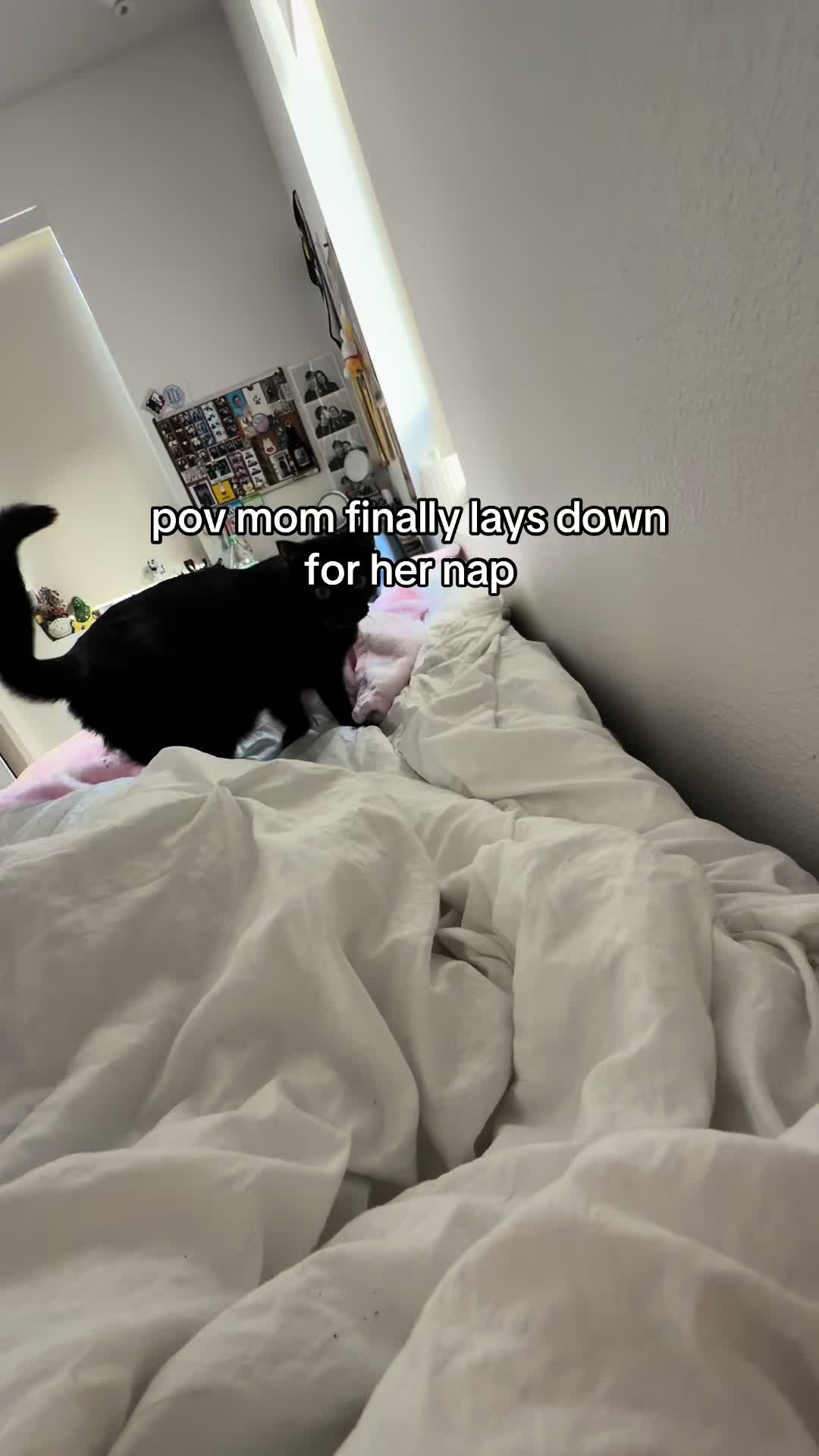 @lili