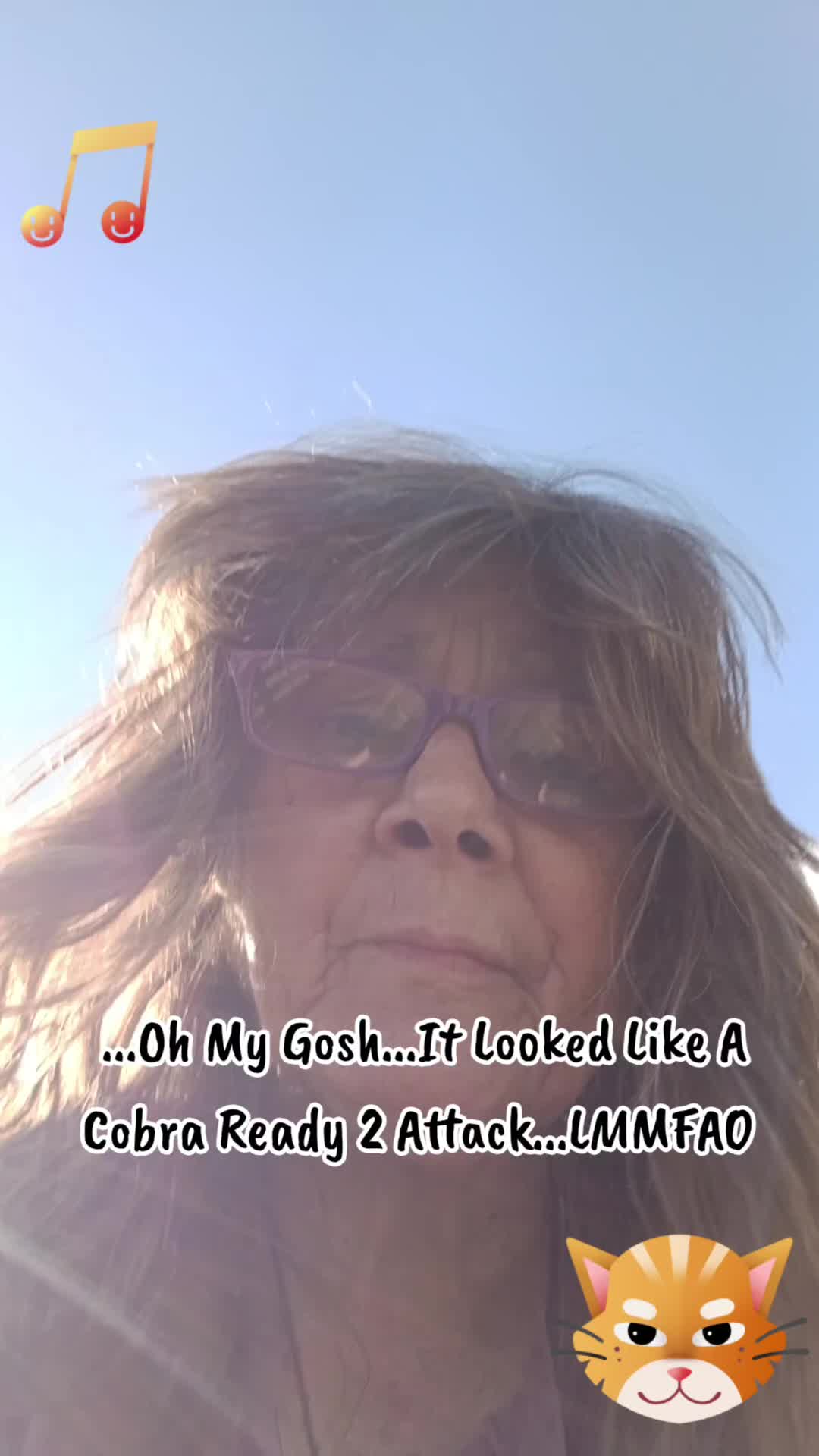 @Booh Hovey crazycatlady3