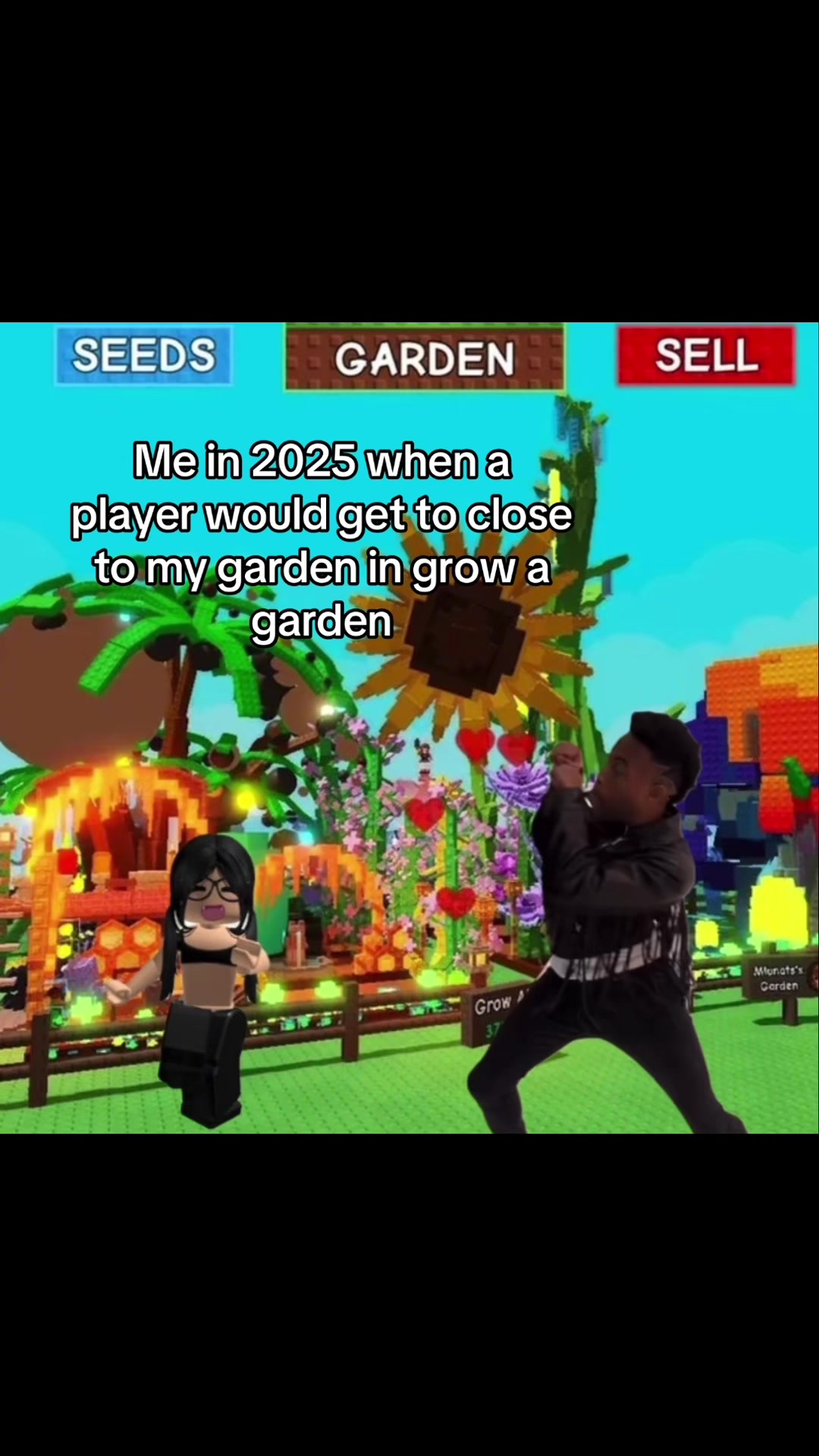 @🐊