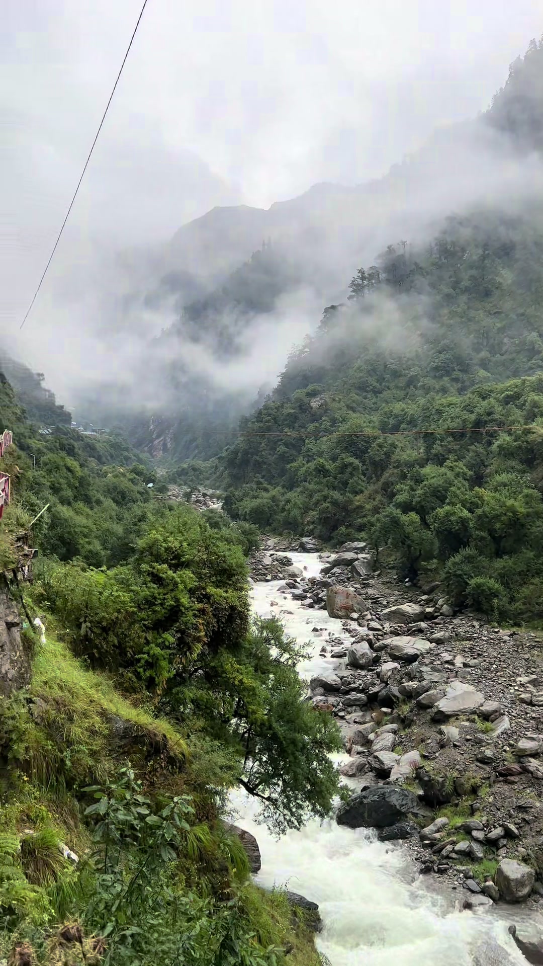 @Tapashya Ghimirey 🧸✨