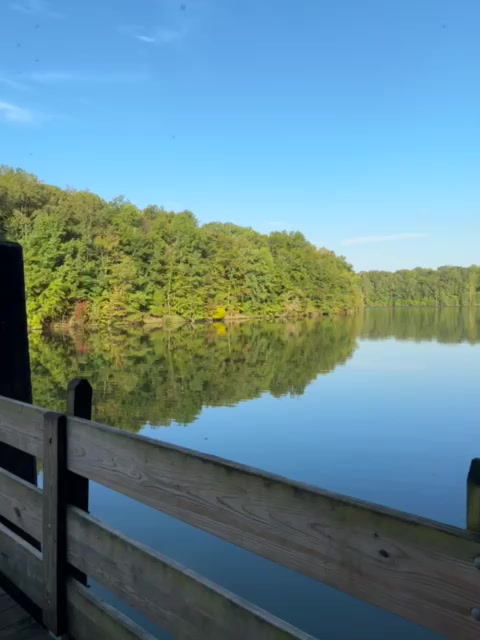 @Eli Guzmán🏞️😌