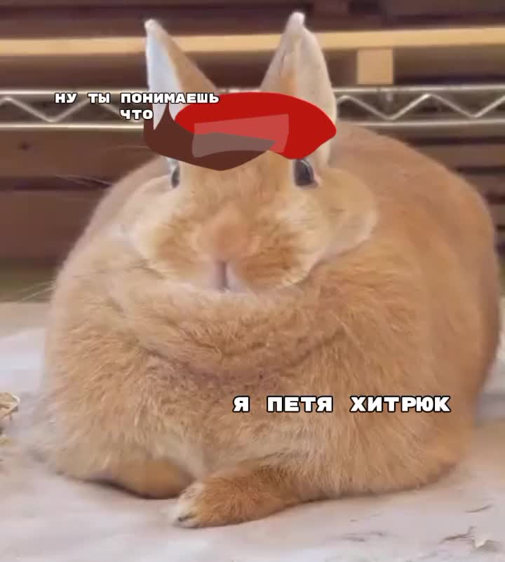 @ну типо🏒