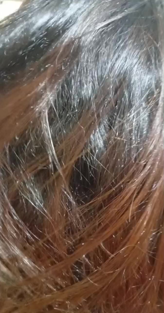@zelinda.moreira