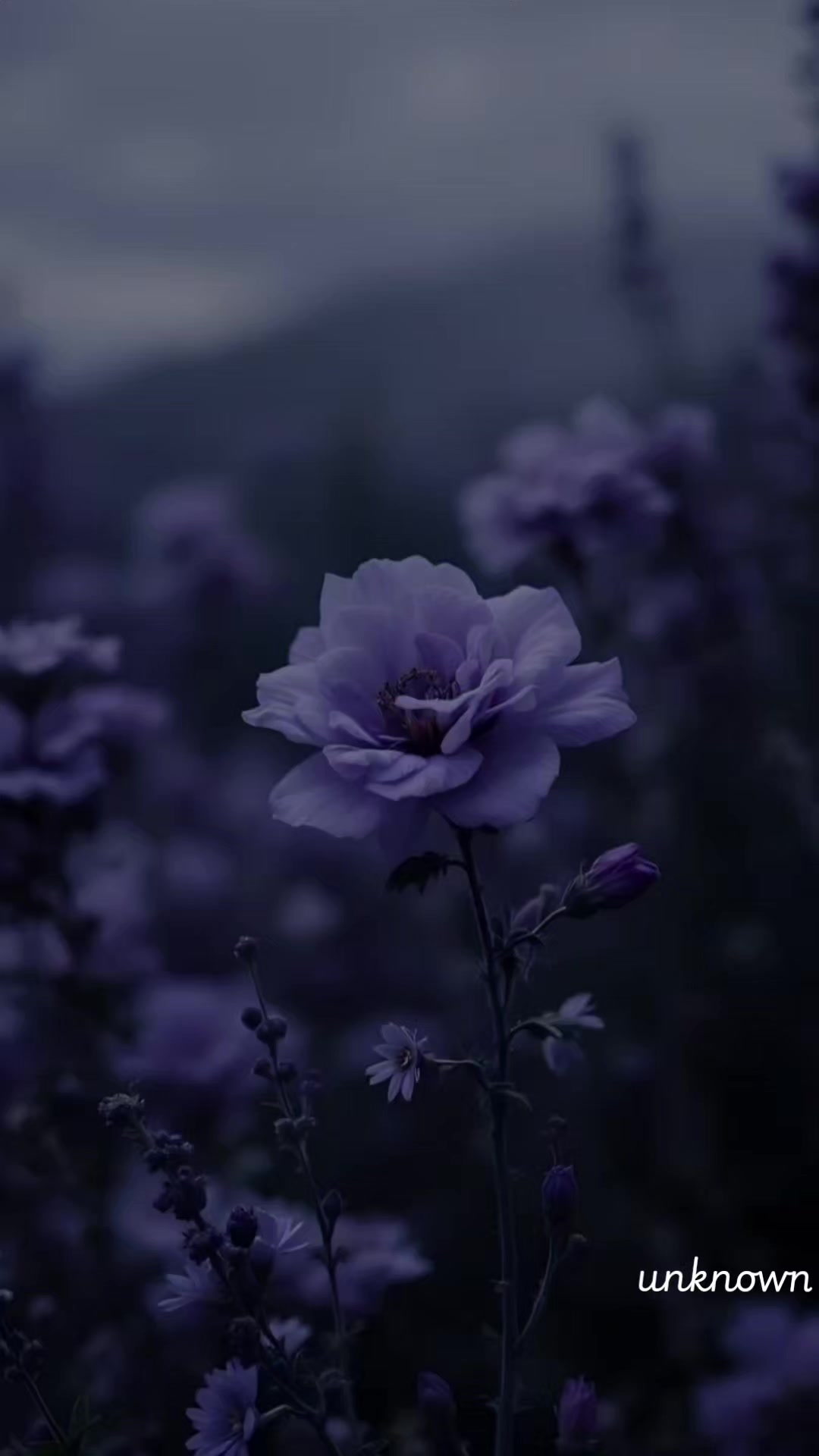 @unknown