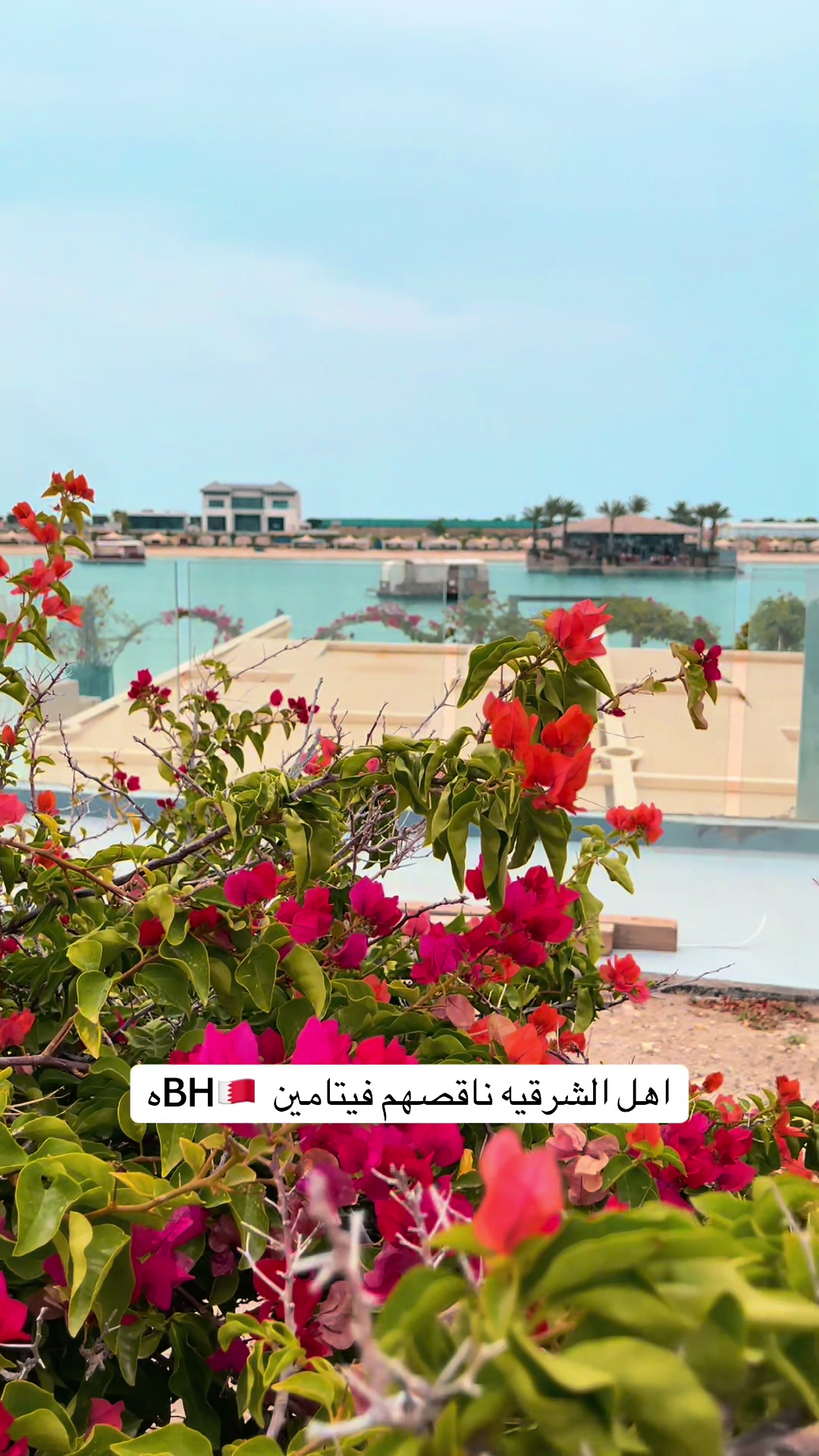 @راويه لسياحة والتعليم🇬🇧