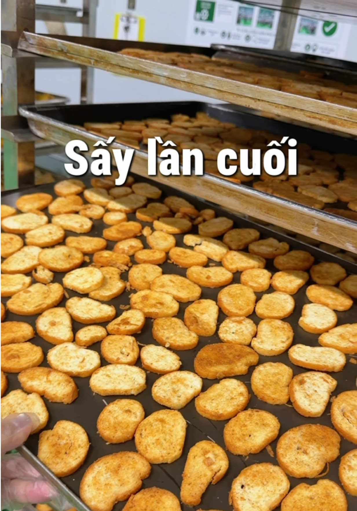 @A Leaf Foods