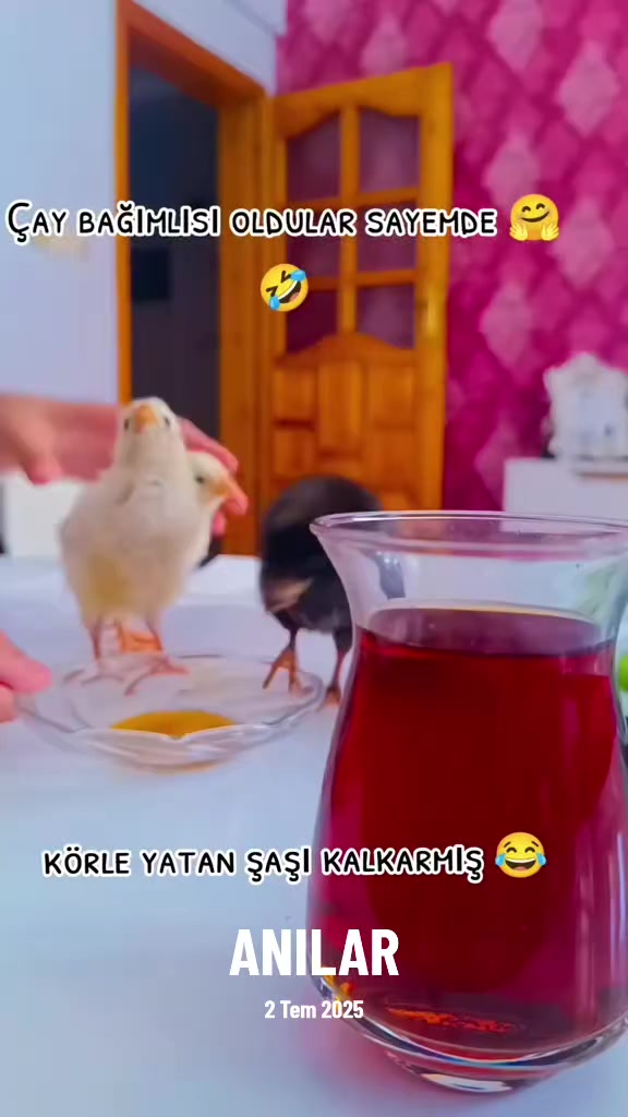 @𝓜𝓮𝓵𝓪𝓱𝓪𝓽 🕊️ 𝓔𝓻𝓴𝓪𝓷