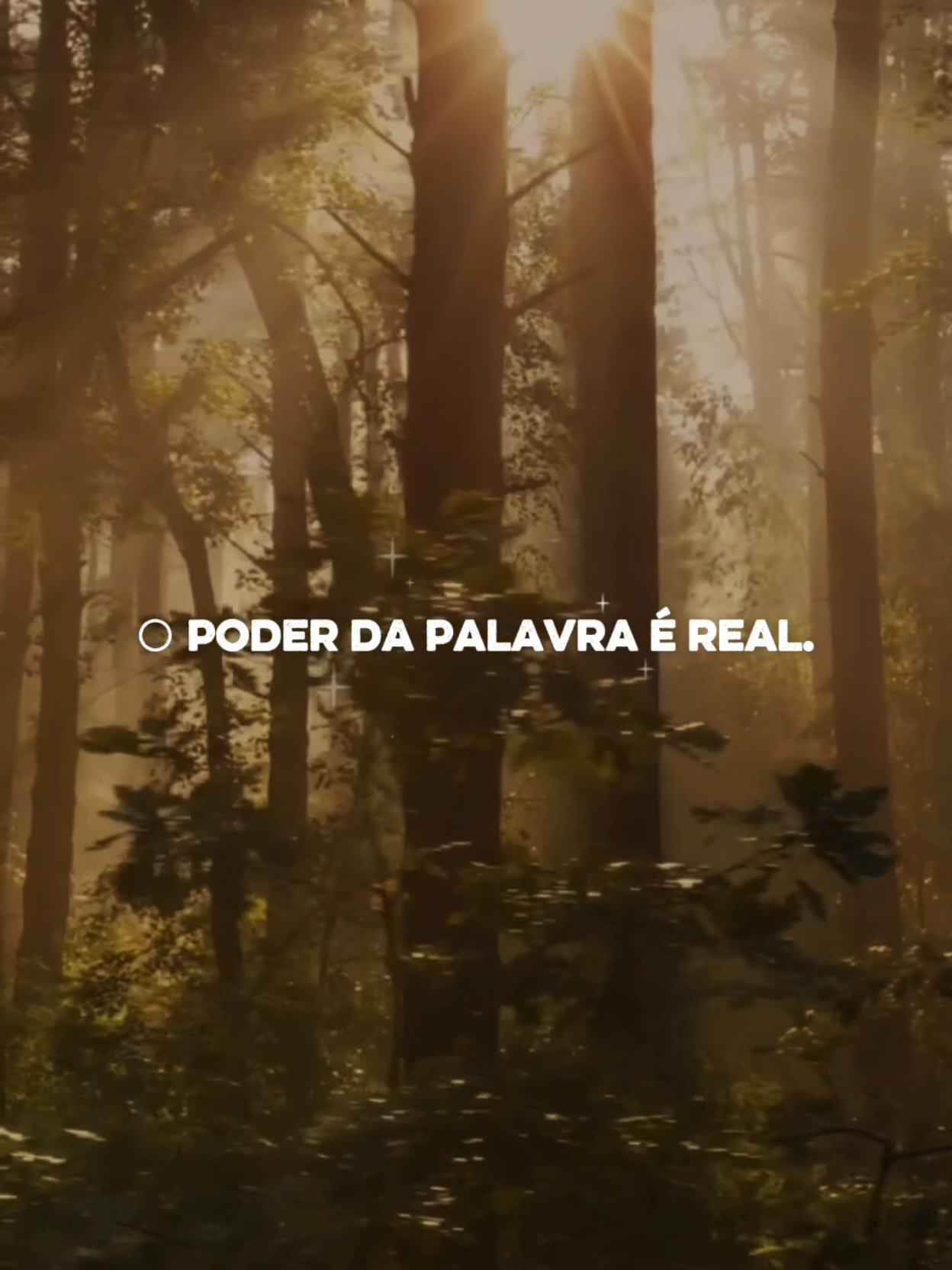 @Paz em Foco