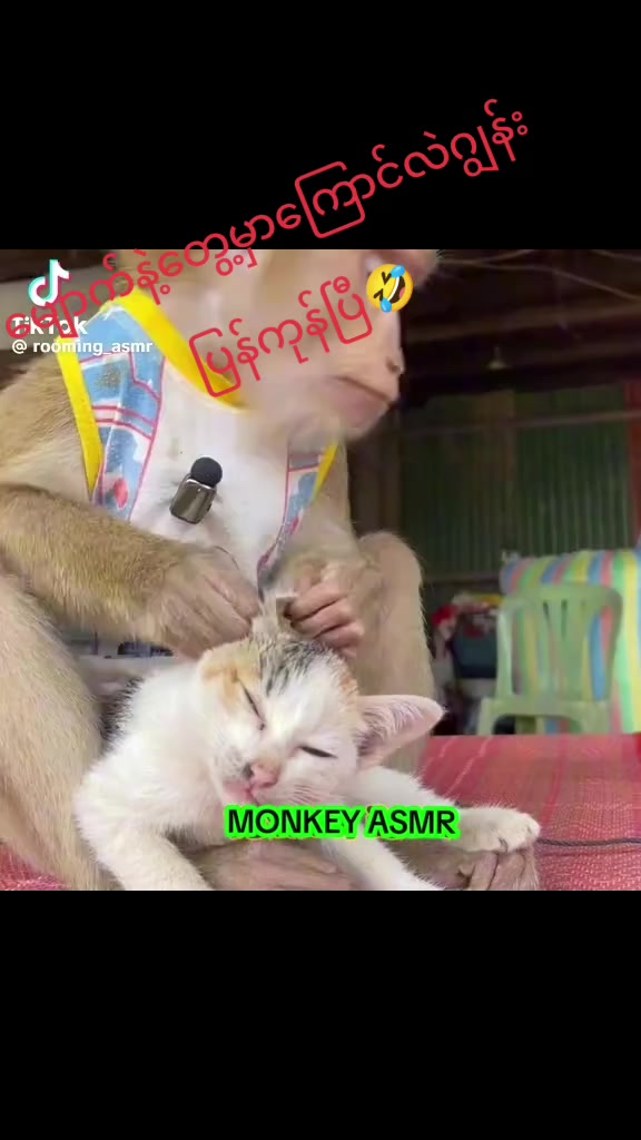 @ð²ð²nawthathamooðžð¬