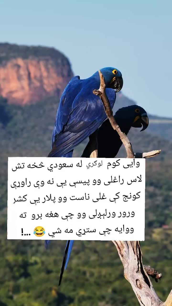 @funnysmile2026