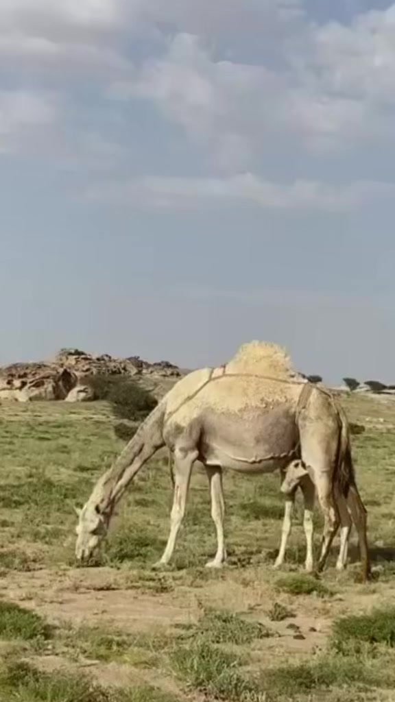 @eooeo_78788