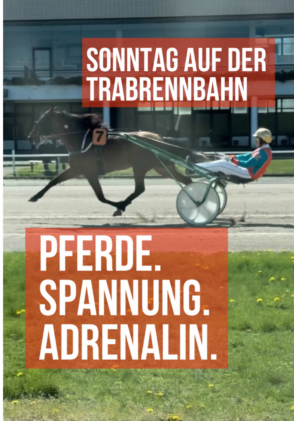 @Trabrennbahn Hamburg