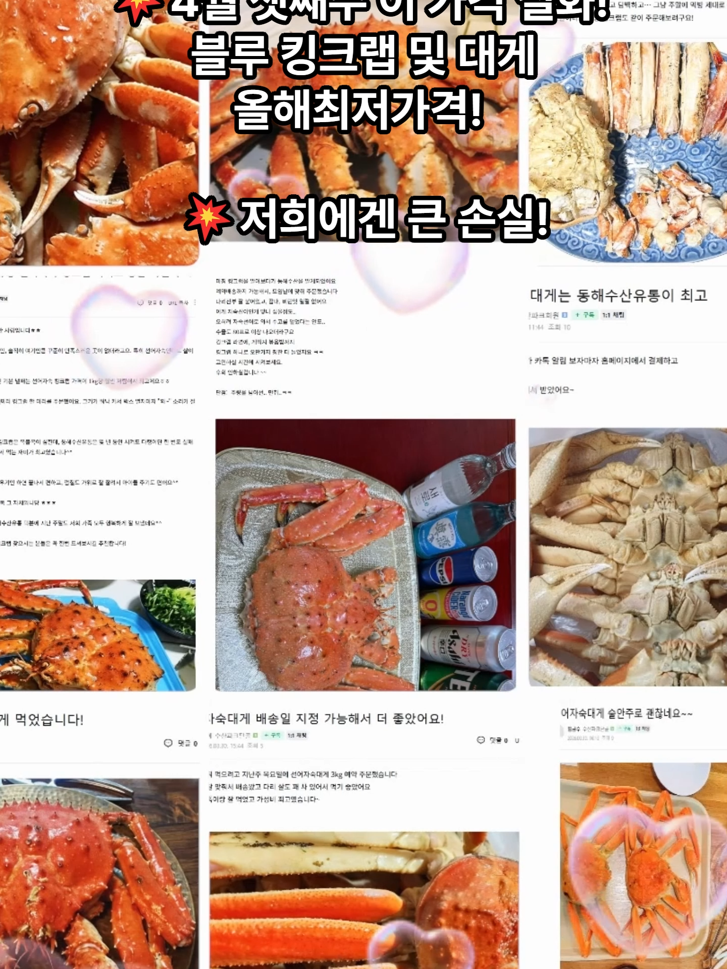 @킹크랩 대게 동해수산유통