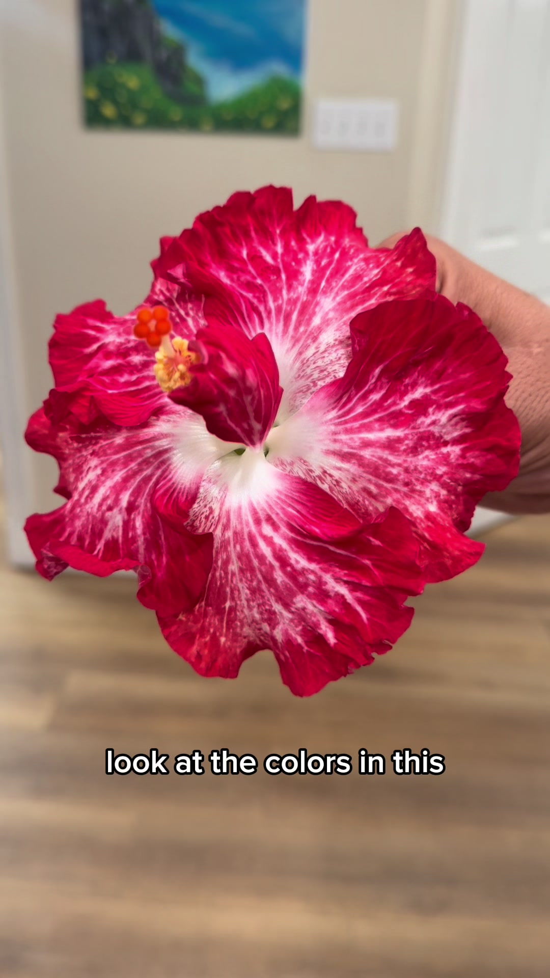 @Todd.Alvis