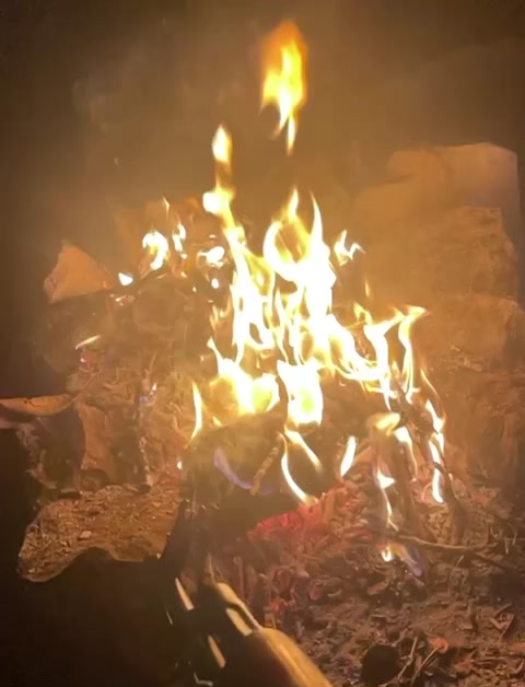 @الحوراء