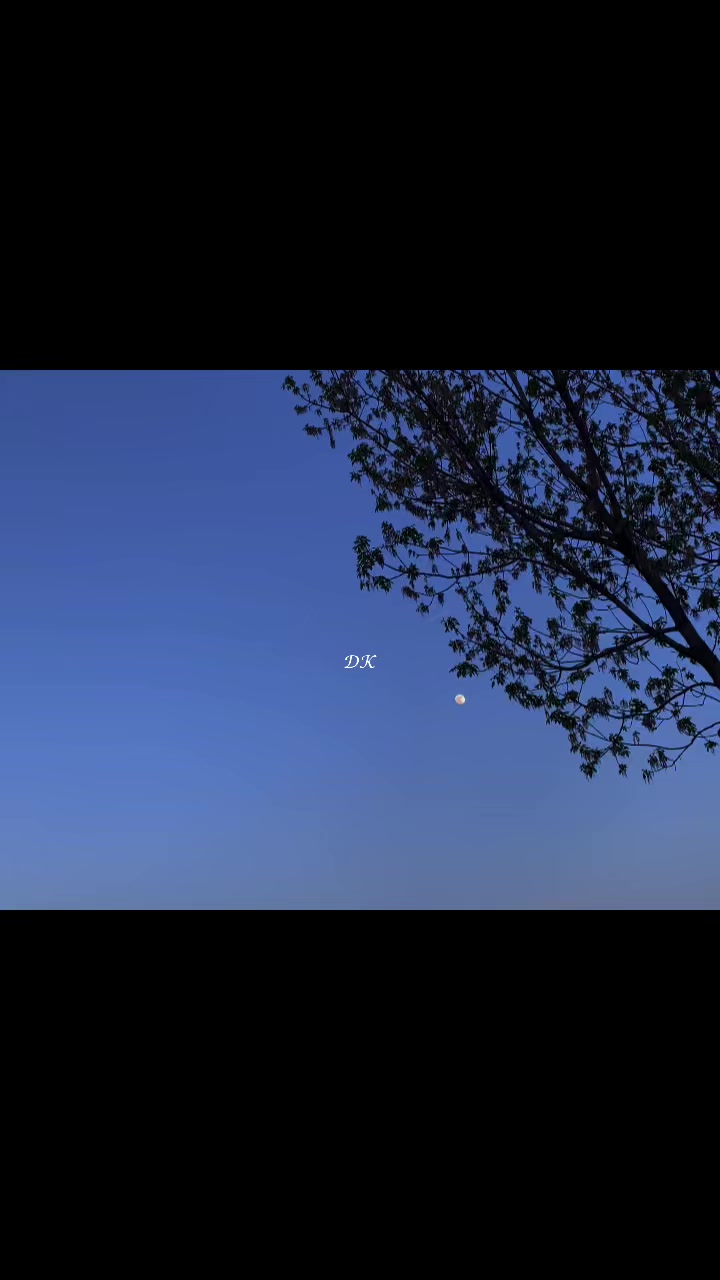 @𝒟𝒦