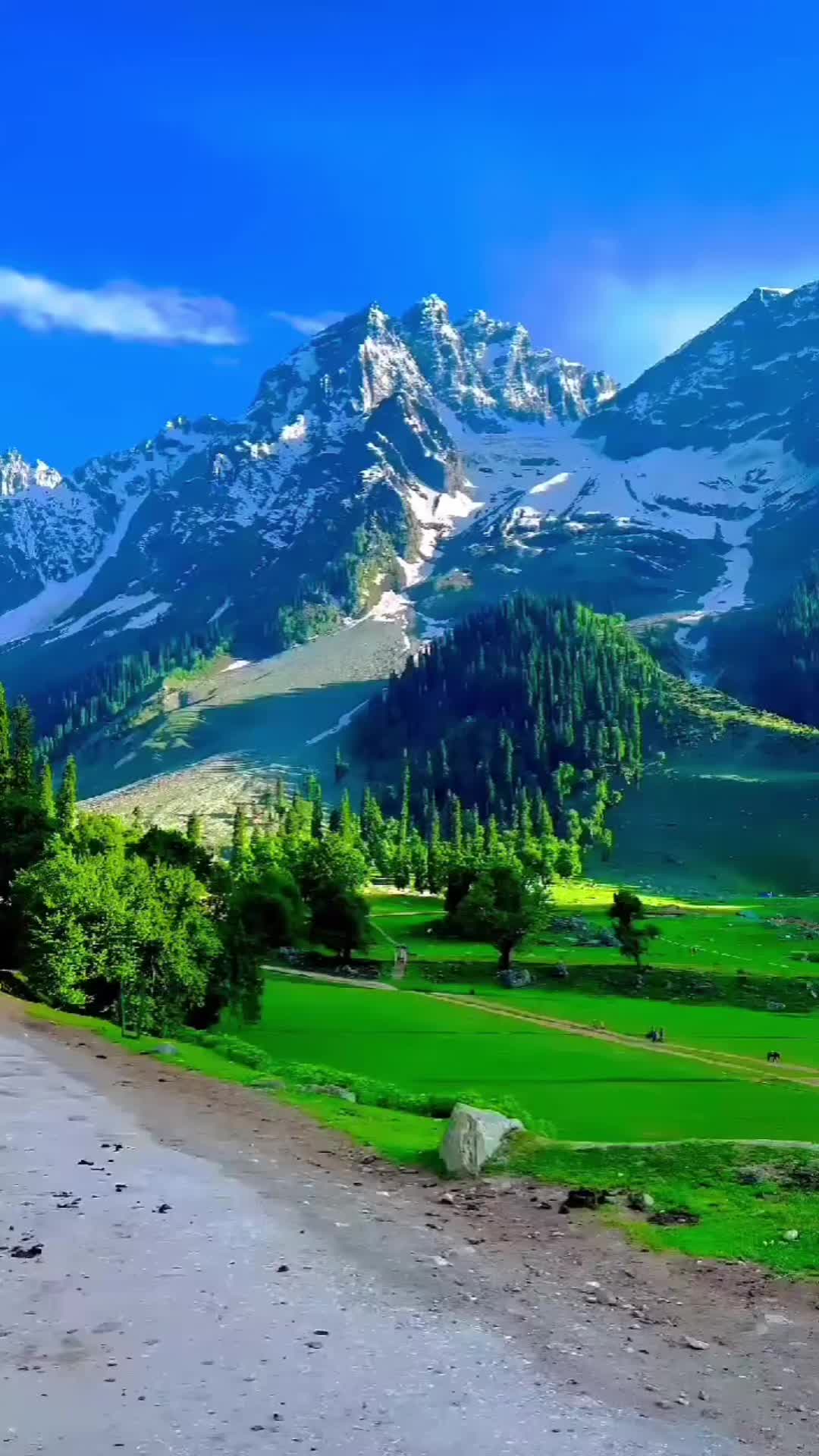 @Dilruba Islam