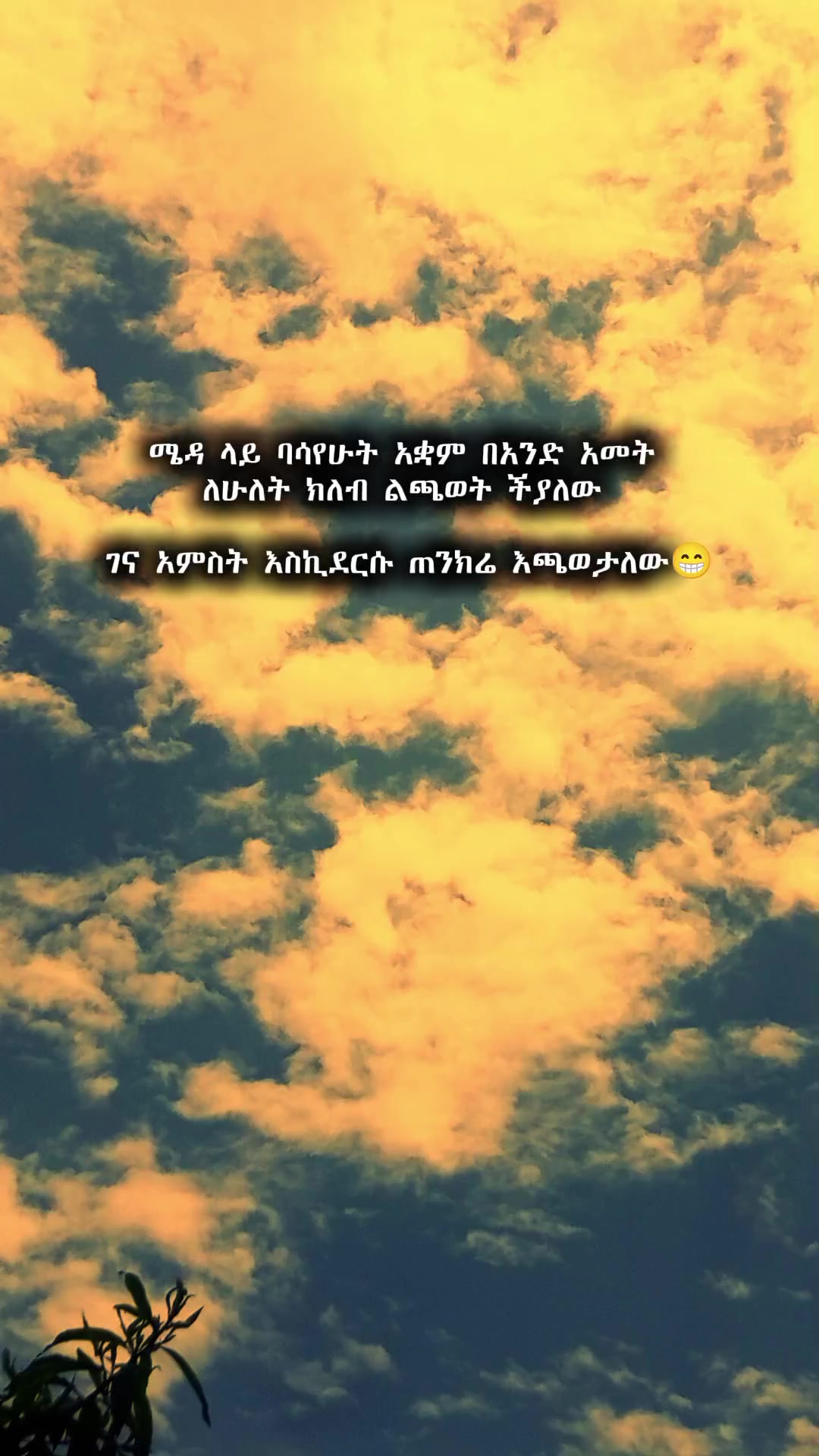 @★𝐀𝐛𝐮𝐤𝐢 𝐉𝐫★