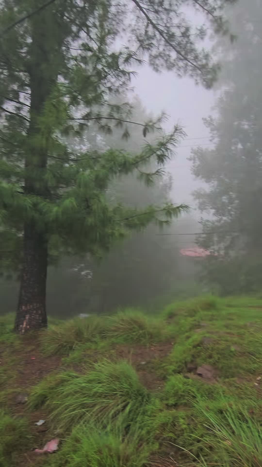 @ₒᵣdᵢₙₐᵣy⛰️ₜᵣₐᵥₑₗₗₑᵣ