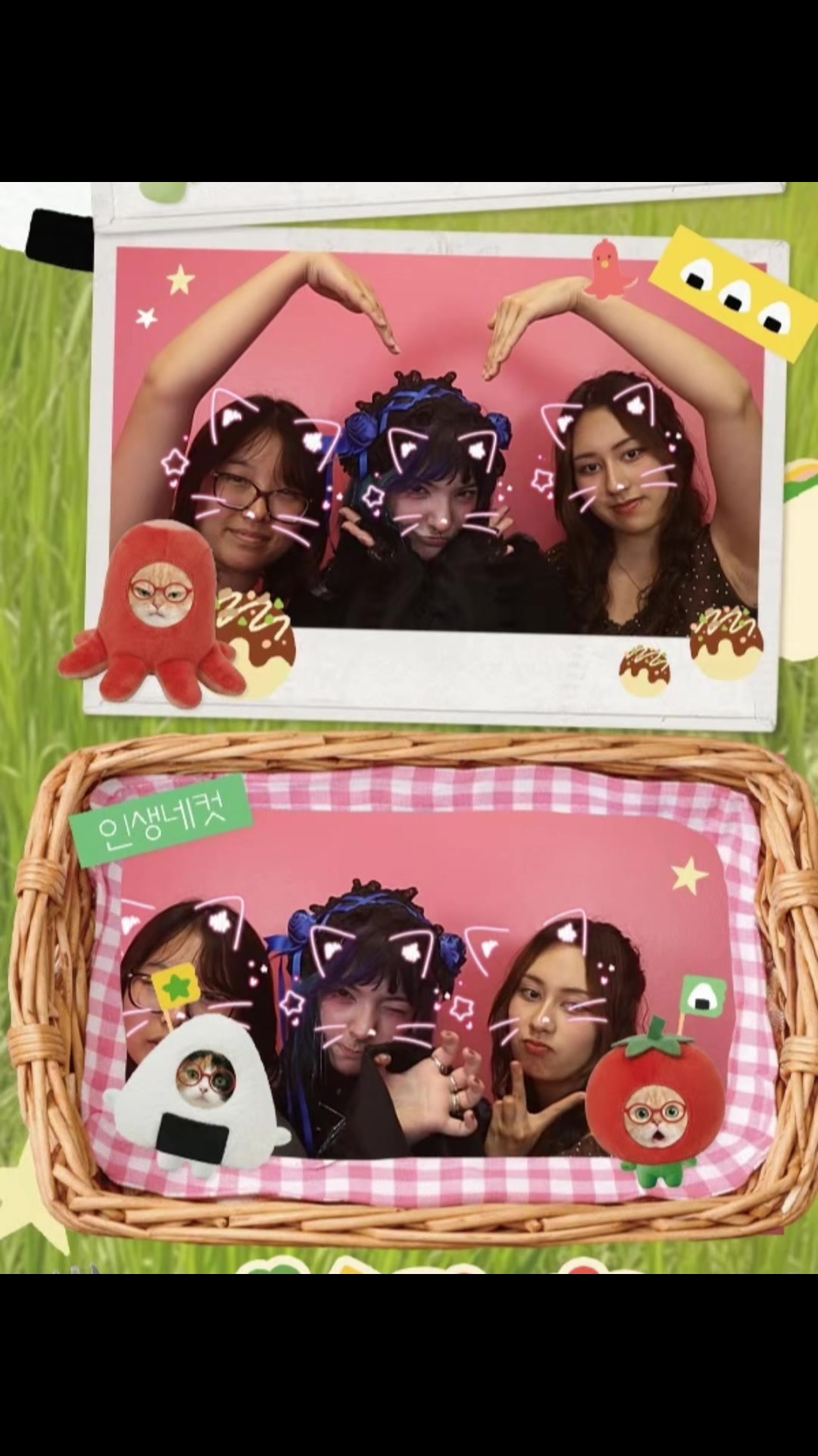 @6v6meow