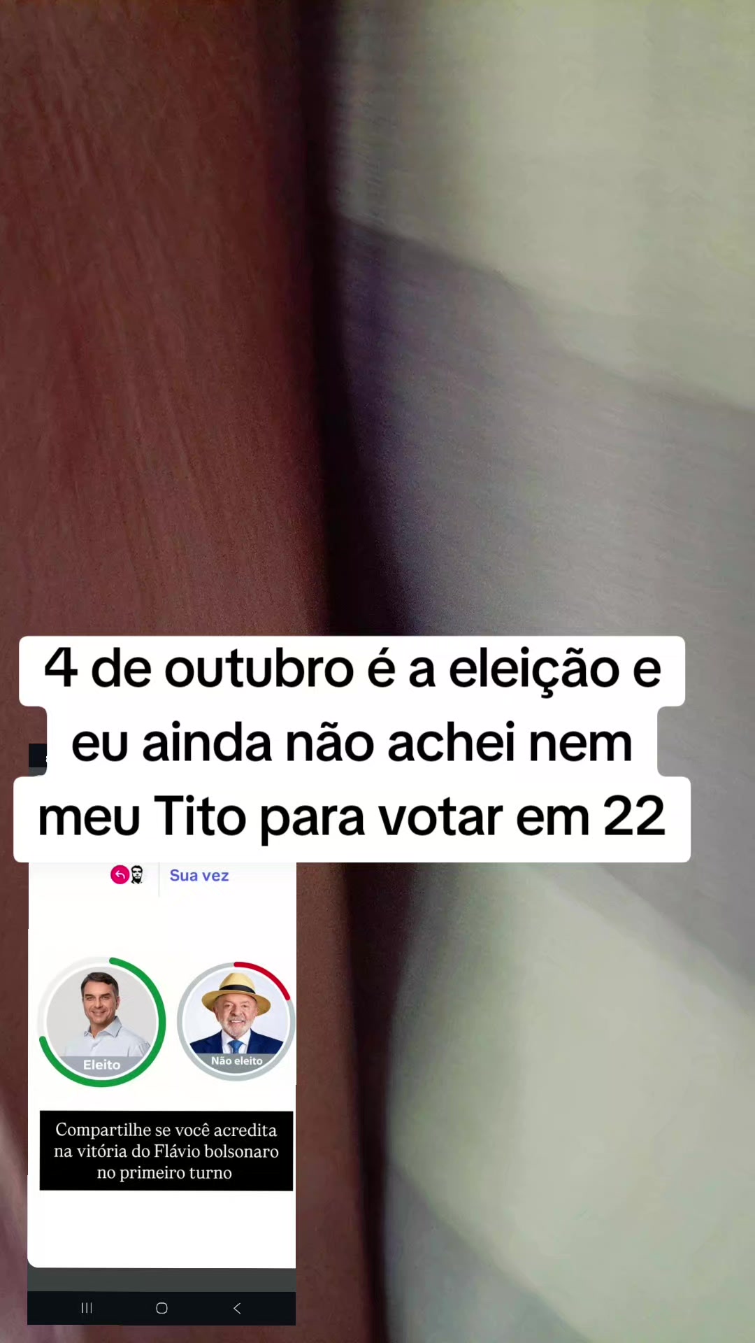 @gata jato