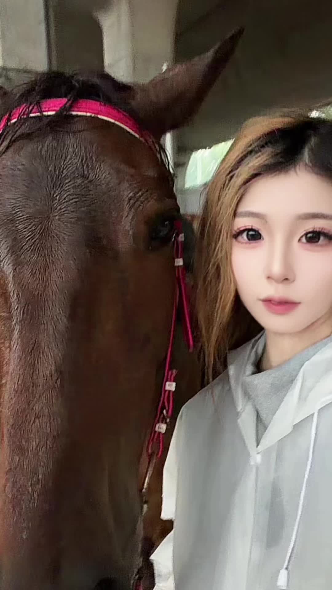 @小小（超级奶龙）🧊