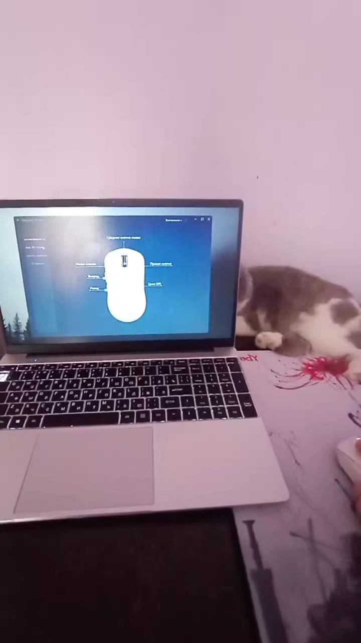 @шпрот
