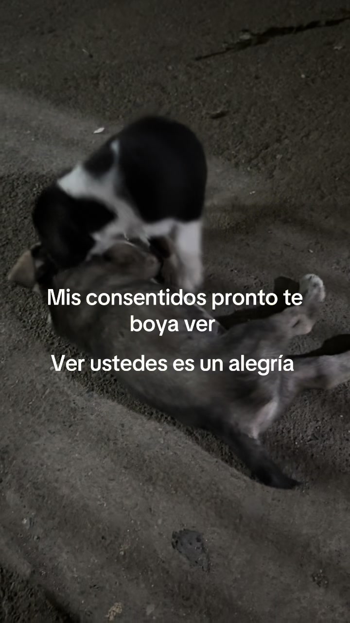 @Vicky 🥰
