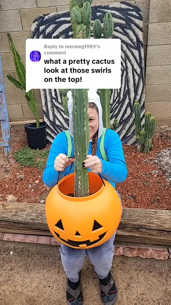 @cactifam