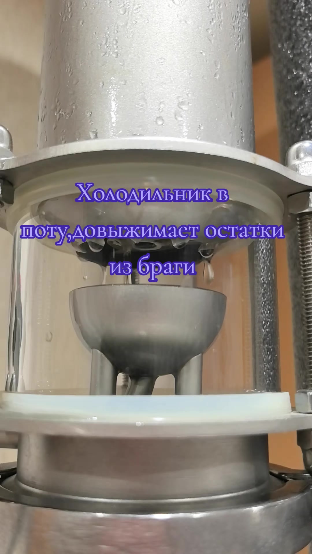 @С&alpha;ϻ&sigma;ӷ&sigma;ϰя &tau;ɞ