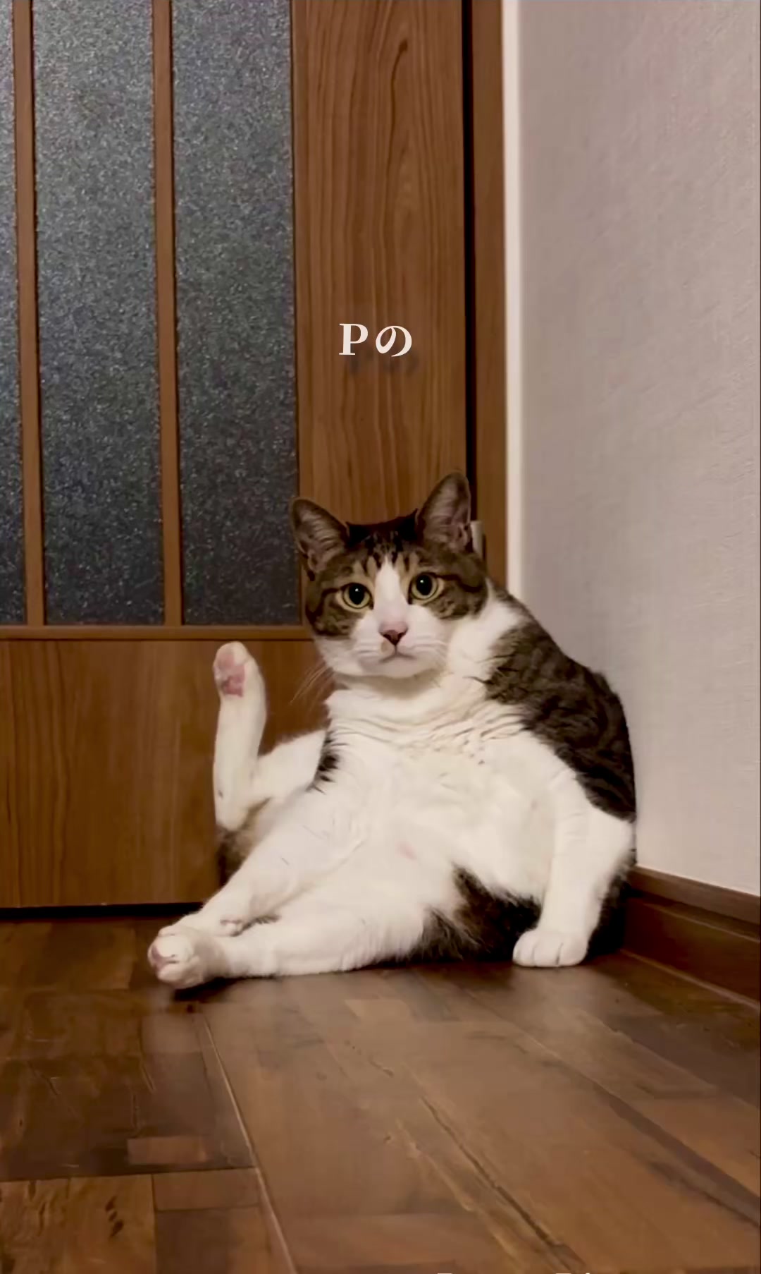 @シチサン