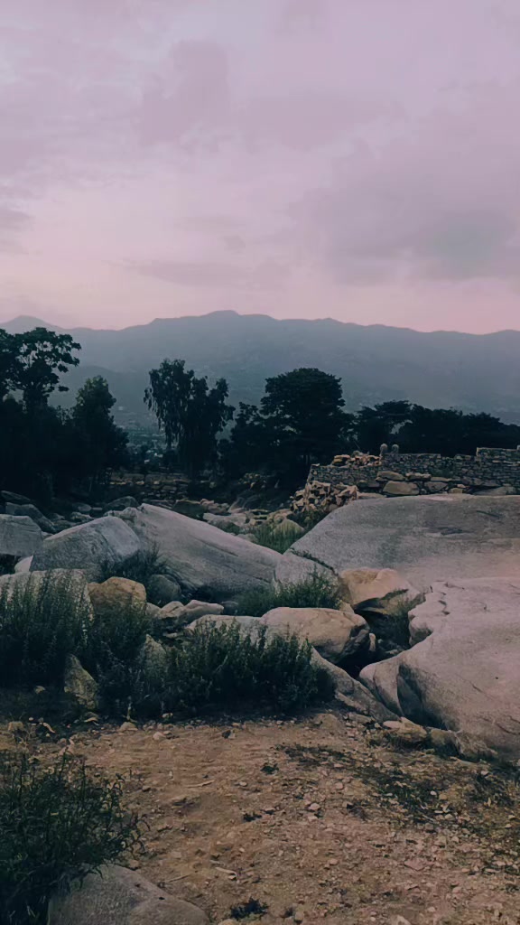 @waseem malang 🌹🌱🌷🌲🌳