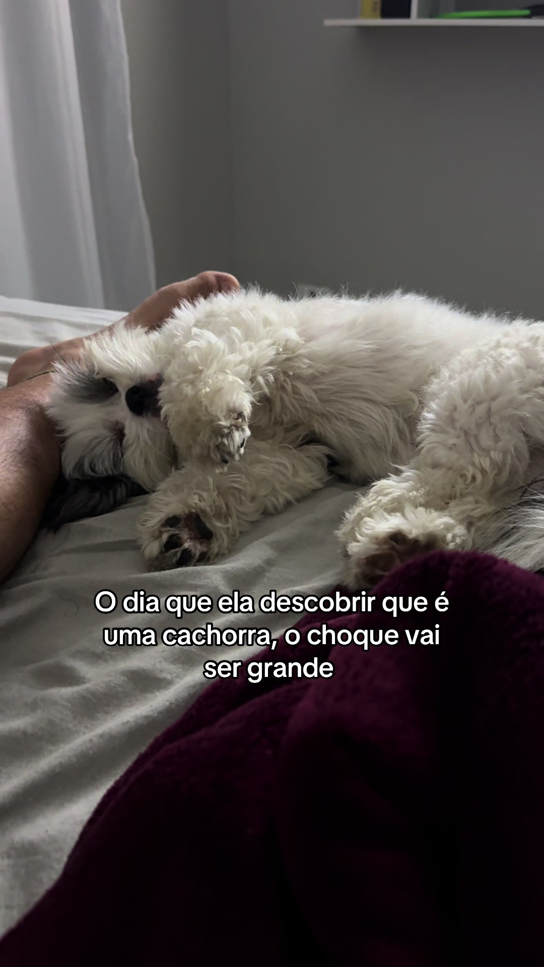 @Gaby Menon
