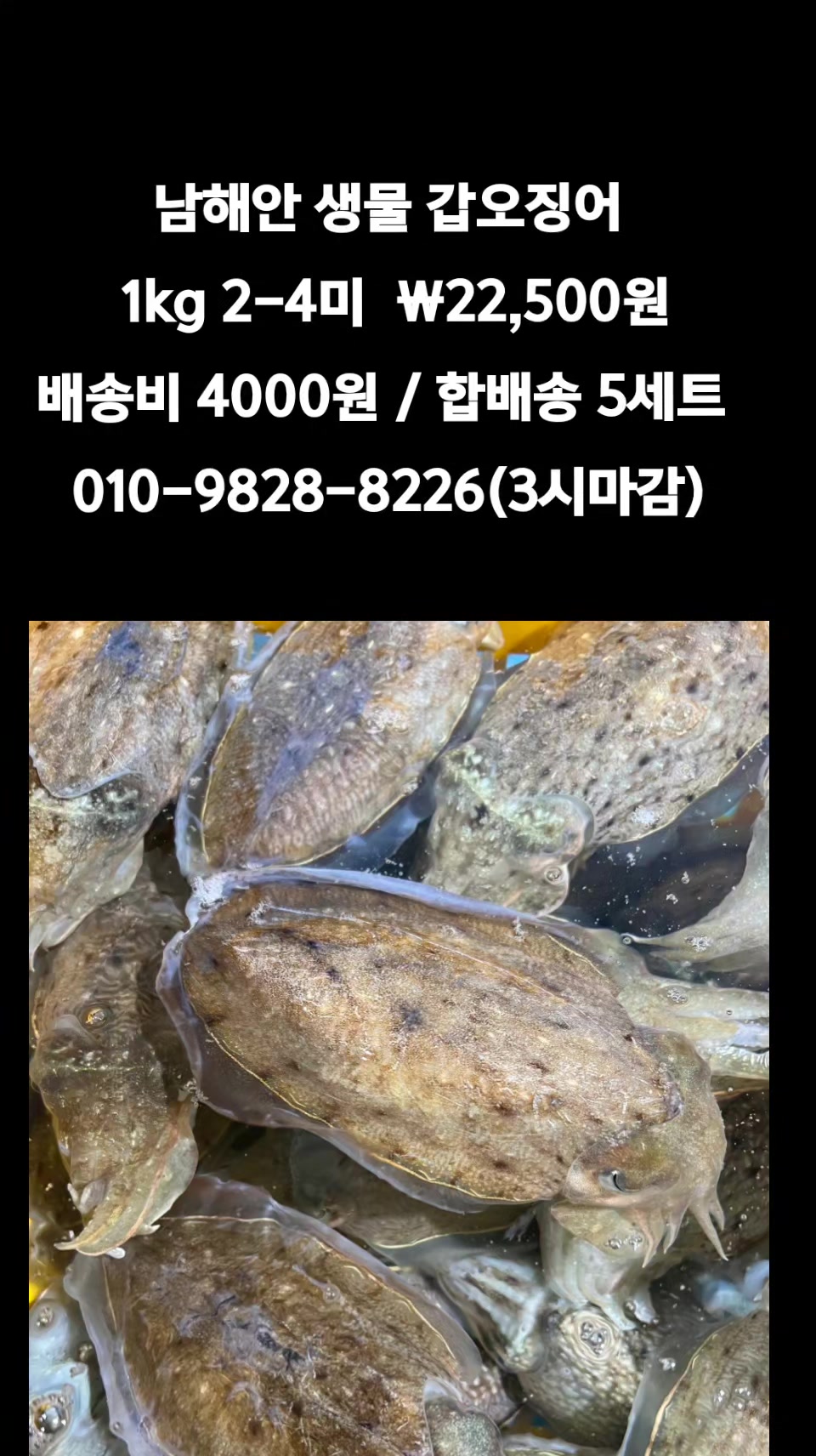 @똑손