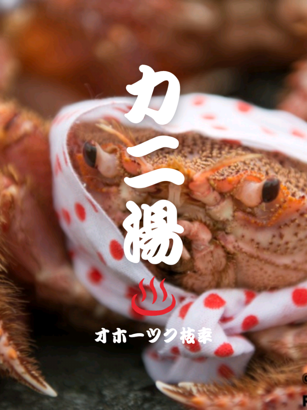 @えさっしーちゃんねる【枝幸町観光協会】