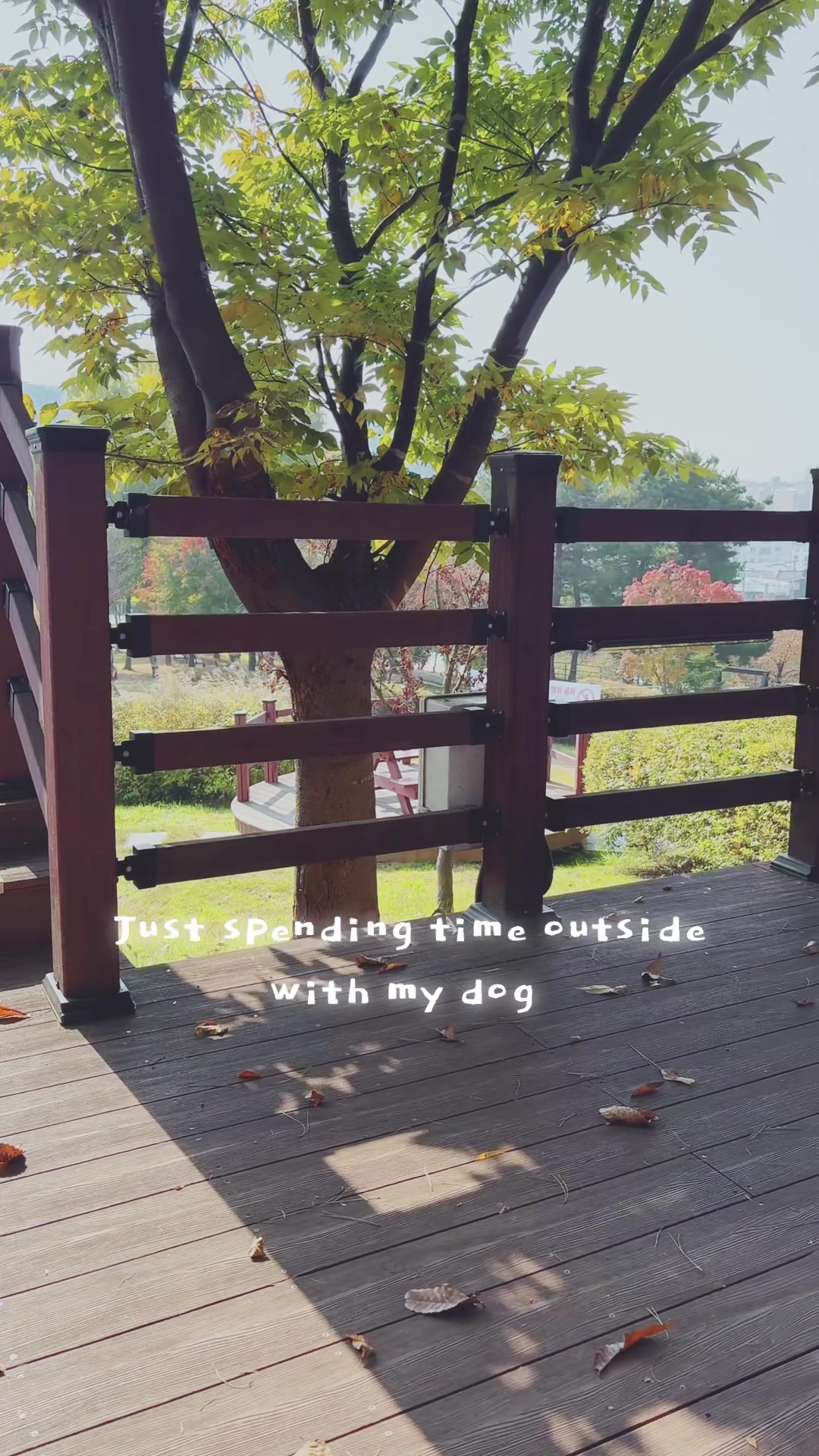 @KawaiiFaceMiles