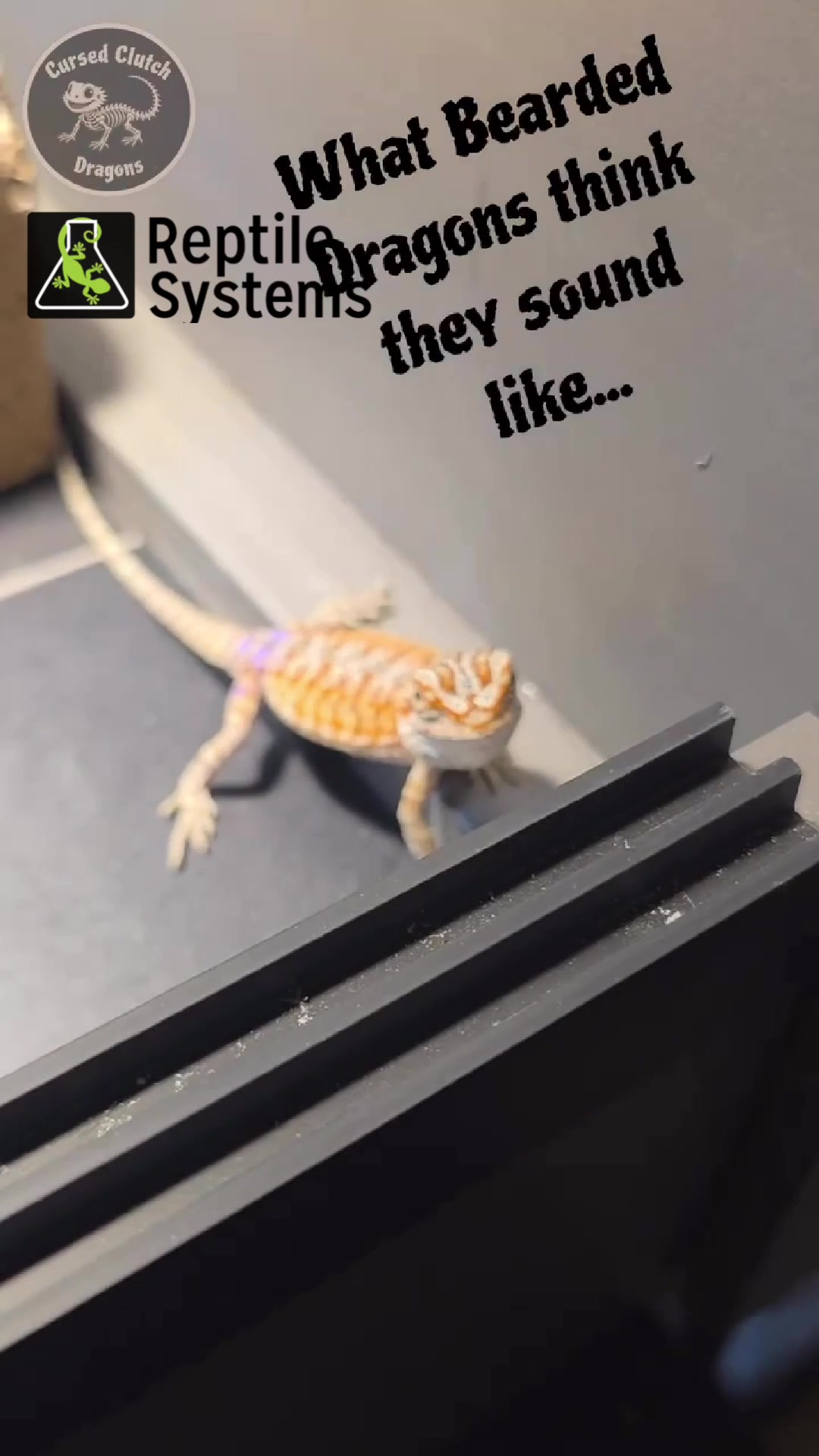 @DrTim
