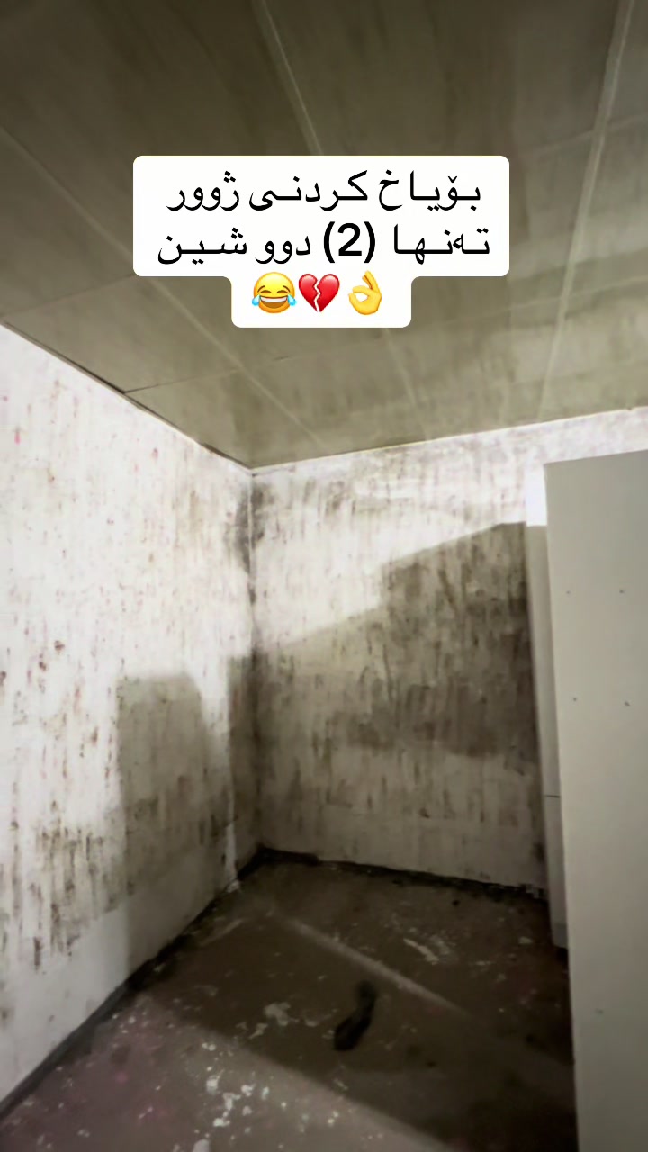 @Śura⚜️🤍