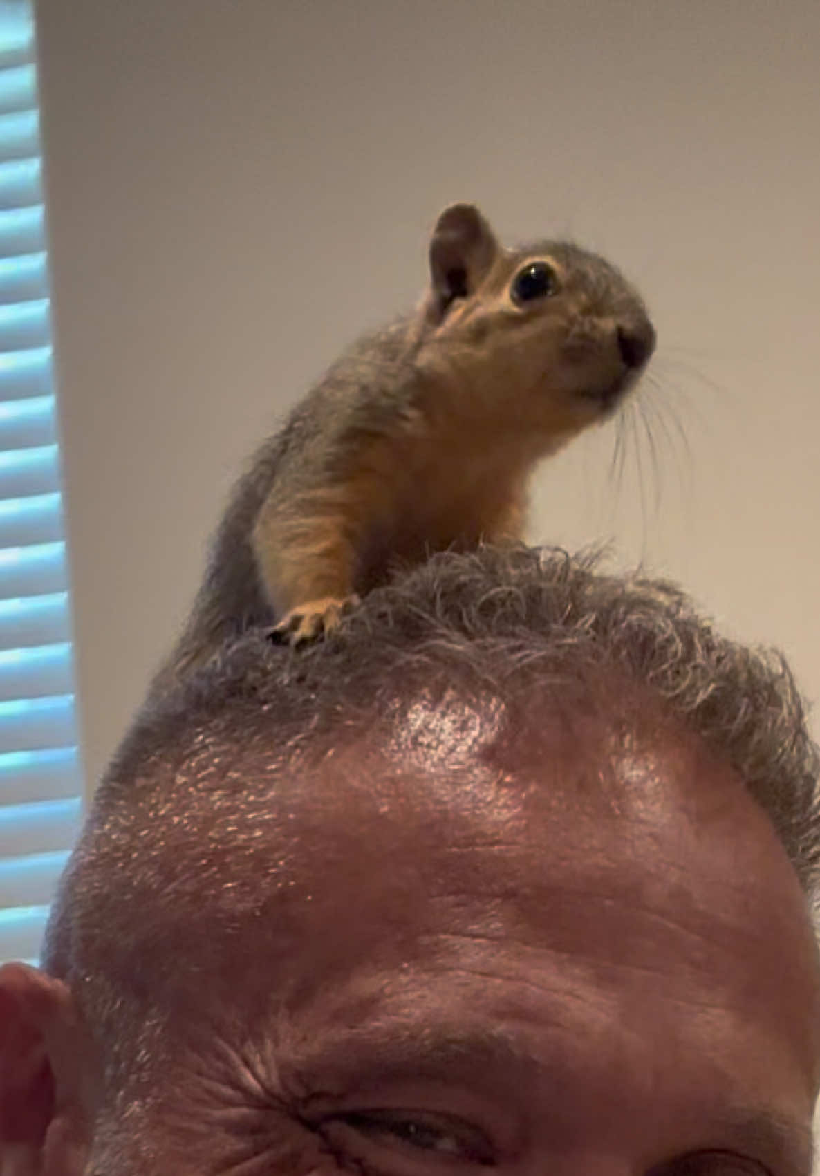 @Squirrel Guy