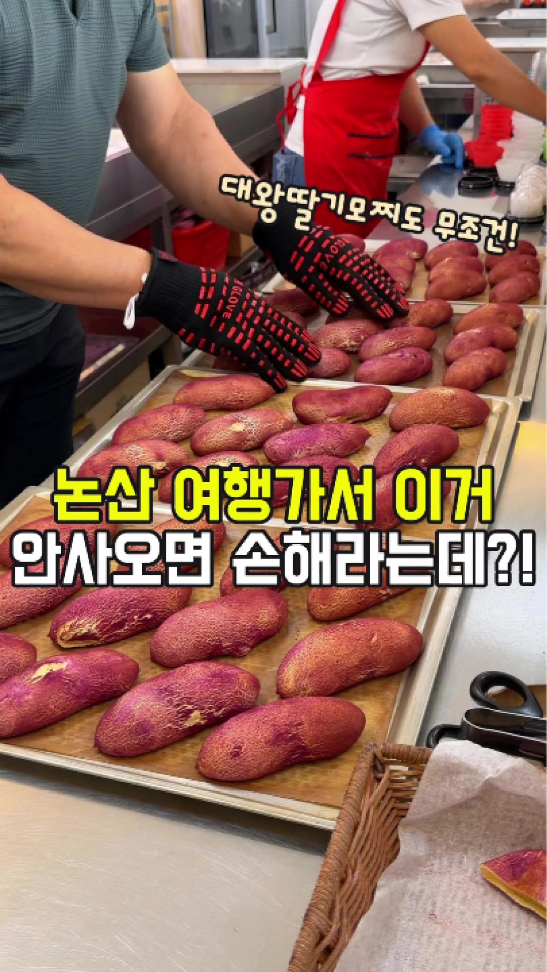 @대전토박이