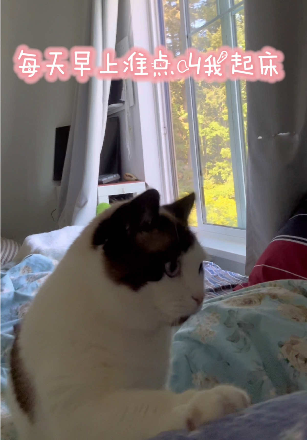 @寿司的儿子是鱼生