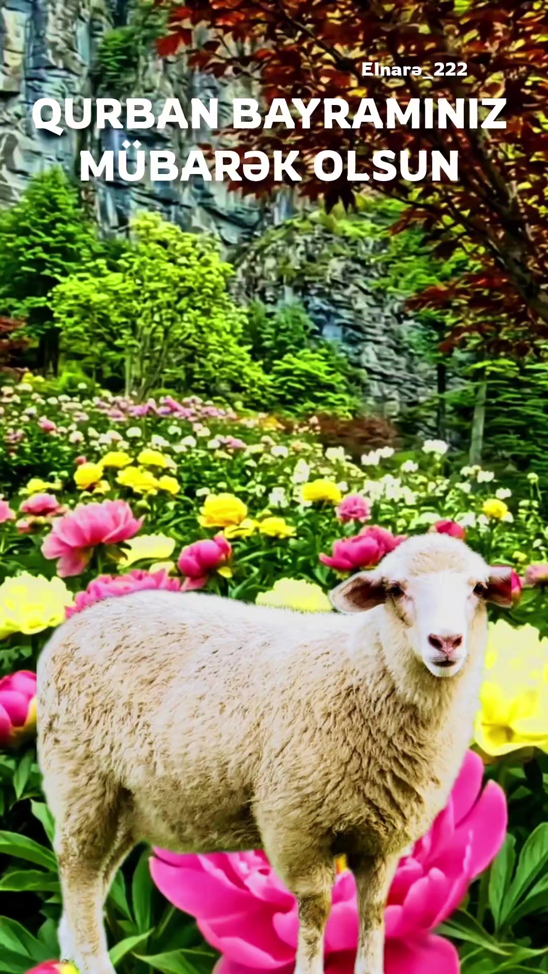 @꧁❀✰🅔🅛🅨🅐✰❀꧂