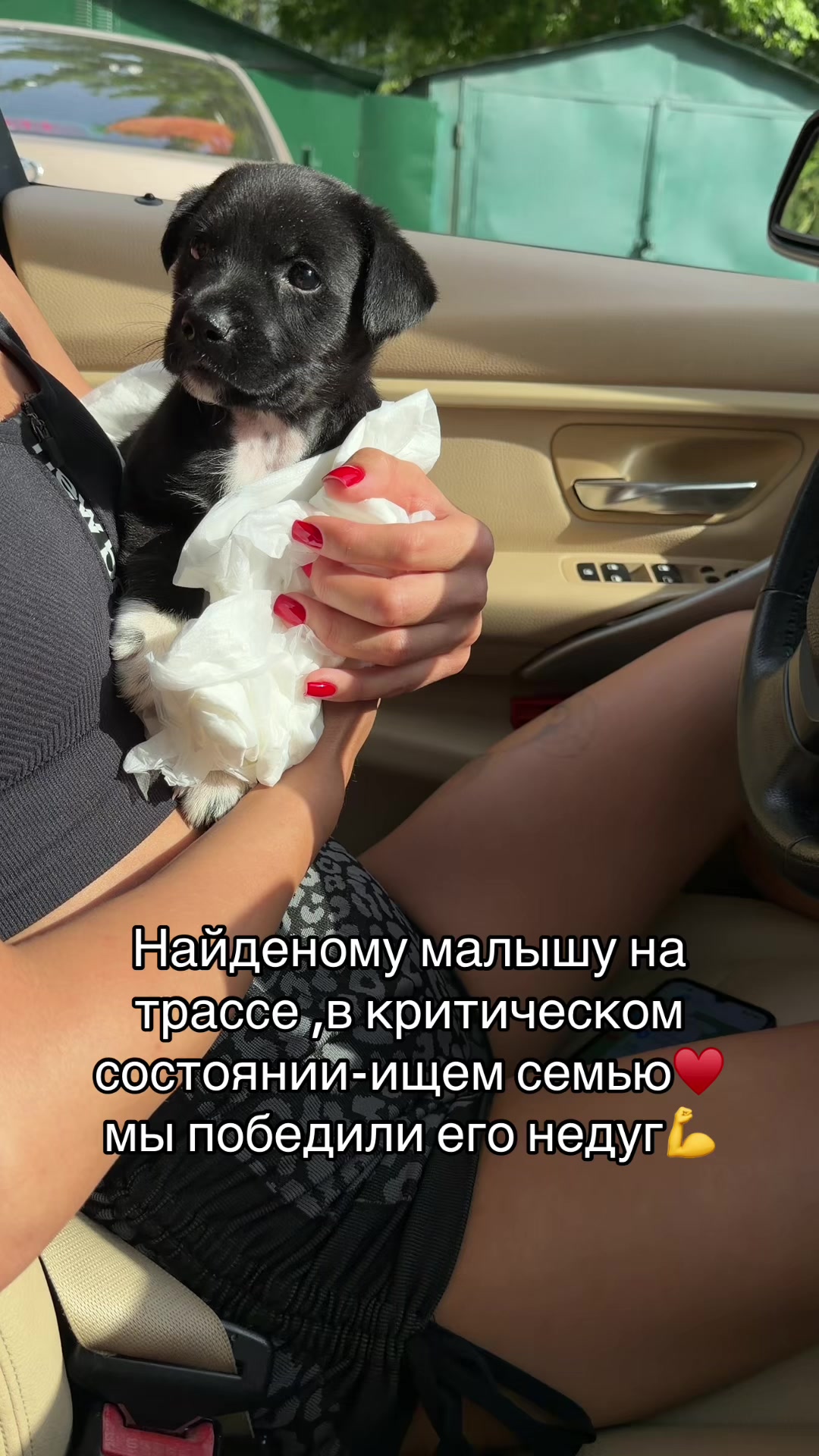 @Odessa Bully kennel