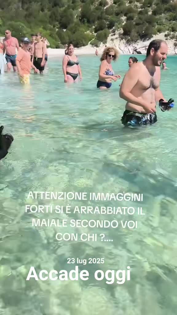 @Mena Sorrentino