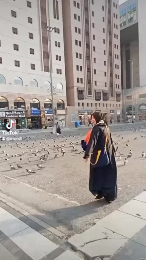 @๐๐ฟ๐๐๐๐๐๐๐๐๐